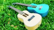 ĐÀN UKULELE NHỮNG ĐIỀU THÚ VỊ BẠN ĐÃ BIẾT CHƯA