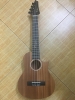 UKULELE, GIỚI THIỆU TỔNG QUÁT NHẤT